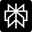 Perplexity AI logo